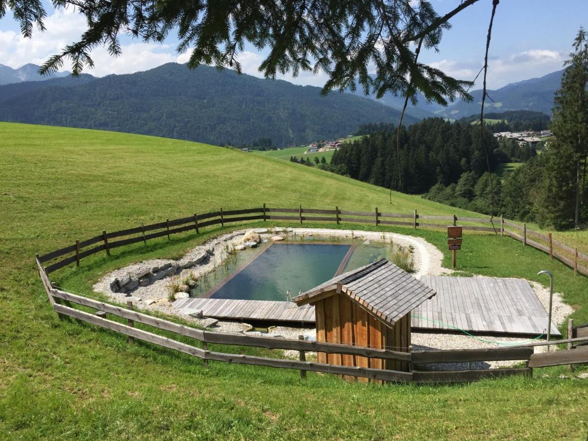 Sonnleit'N Zimmer 6 Абтенау Екстериор снимка